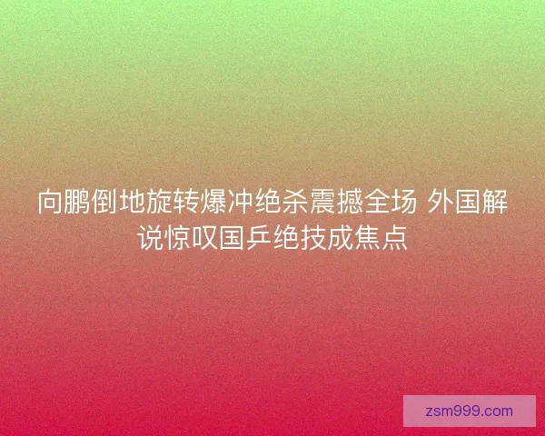 向鹏倒地旋转爆冲绝杀震撼全场 外国解说惊叹国乒绝技成焦点